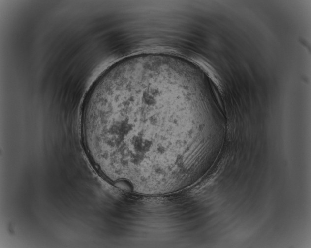 X0000096951046200802291051