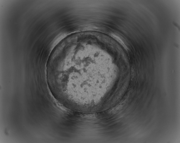 X0000096951047200802291051