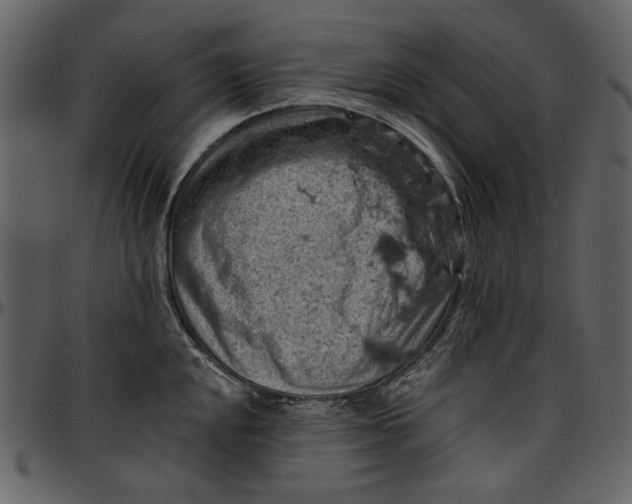 X0000096951048200802291051