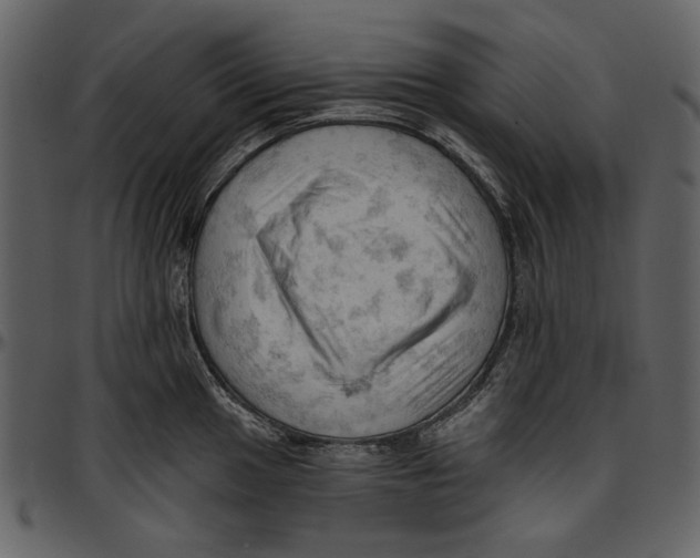 X0000096951049200802291051