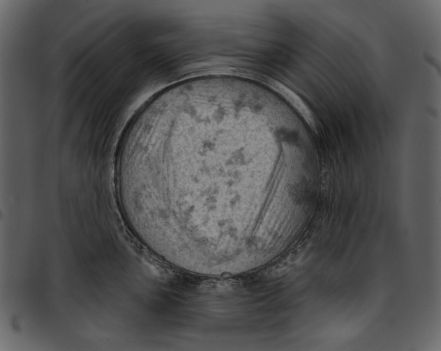 X0000096951051200802291051