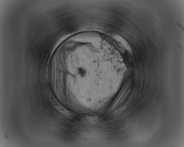 X0000096951052200802291051