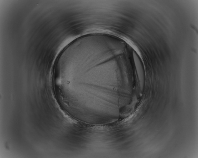 X0000096951053200802291051