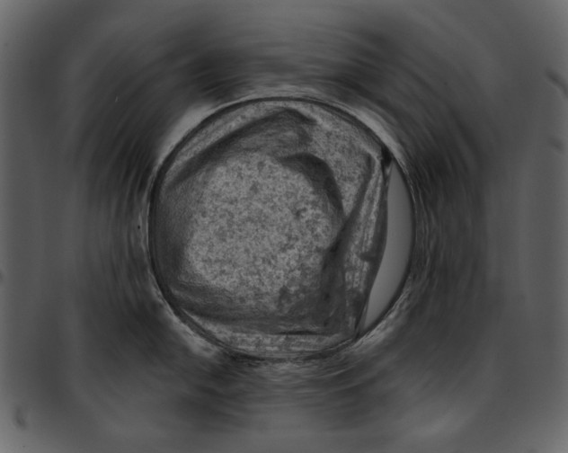 X0000096951054200802291051