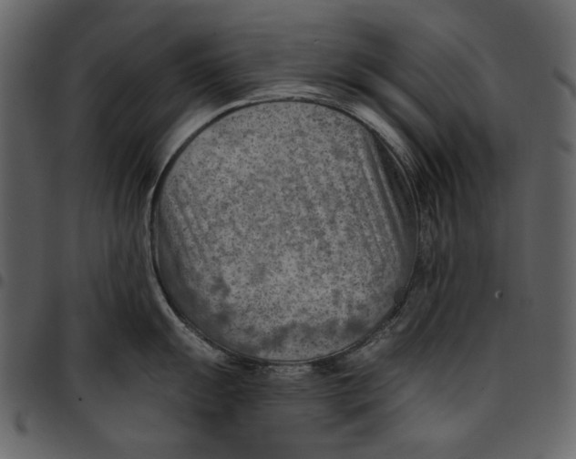 X0000096951055200802291051