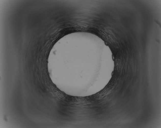 X0000096951057200802291051