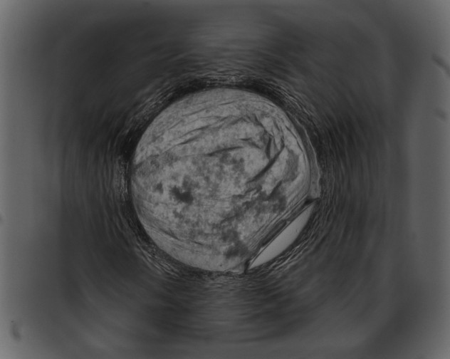 X0000096951058200802291051