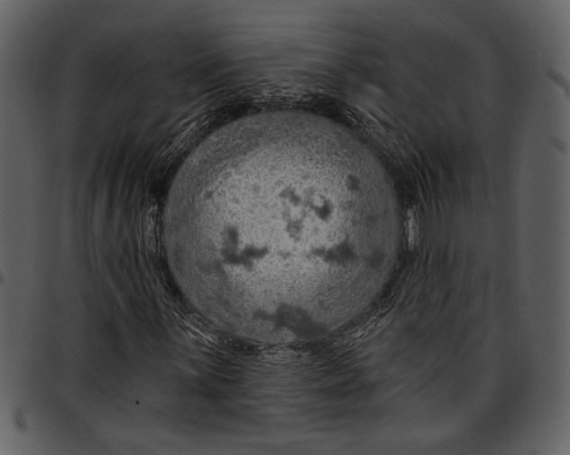 X0000096951059200802291051