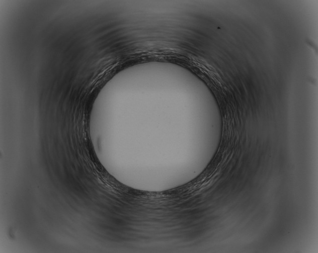 X0000096951060200802291051