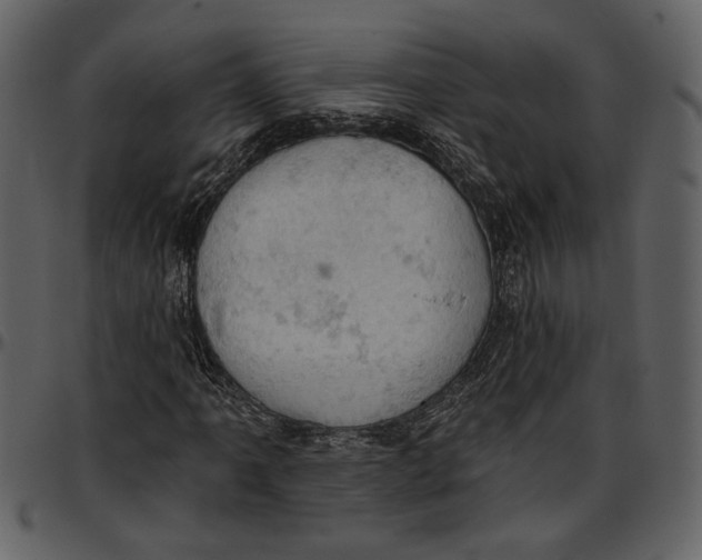 X0000096951061200802291051