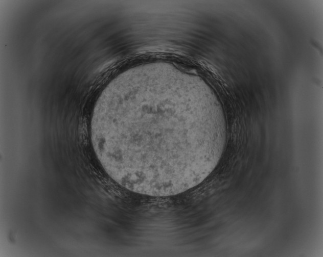 X0000096951062200802291051