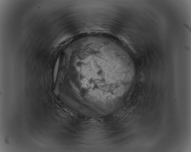 X0000096951063200802291051