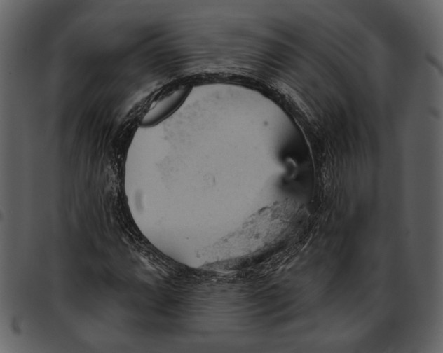 X0000096951064200802291051