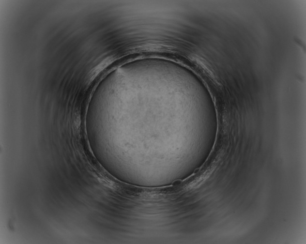 X0000096951065200802291051