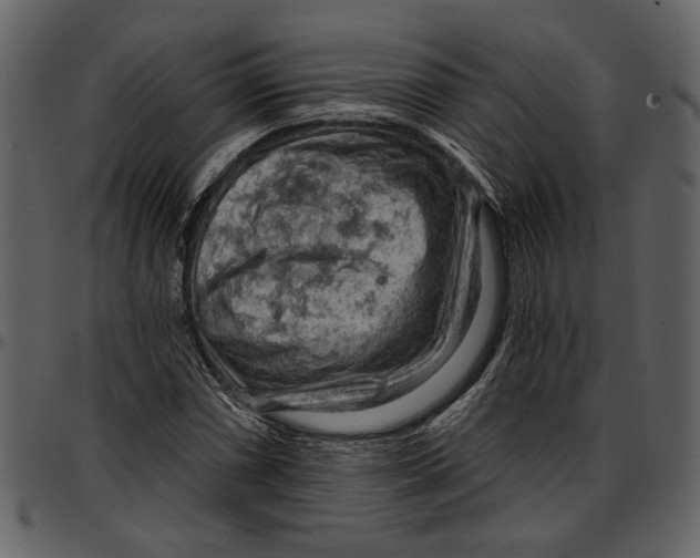 X0000096951066200802291051