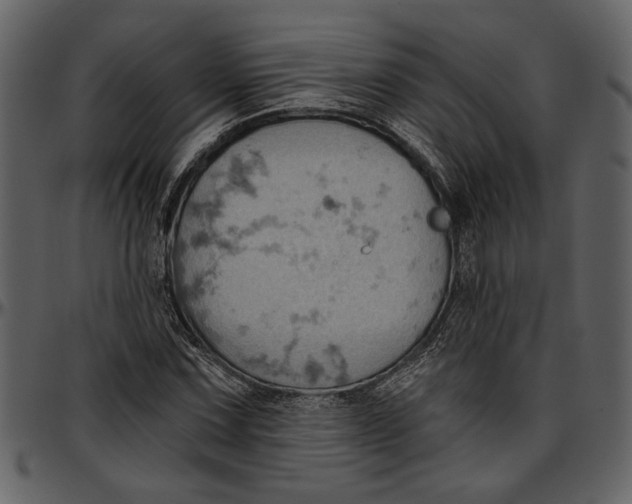 X0000096951067200802291051