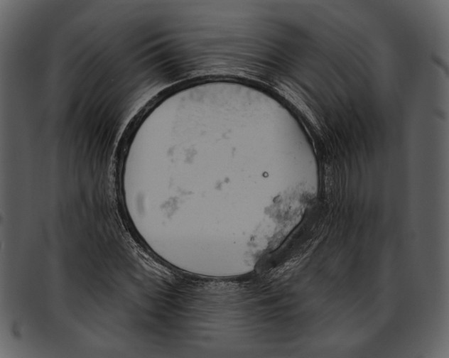 X0000096951068200802291051