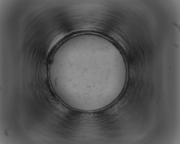 X0000096951069200802291051