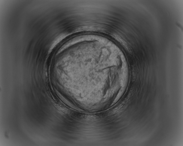 X0000096951070200802291051