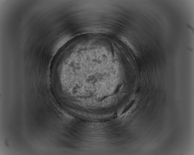 X0000096951071200802291051