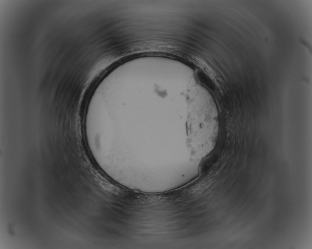 X0000096951072200802291051