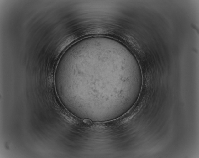 X0000096951073200802291051