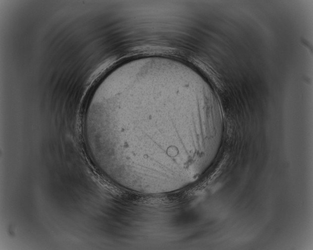 X0000096951074200802291051