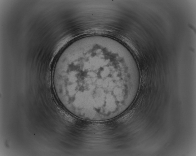 X0000096951075200802291051