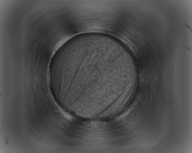 X0000096951077200802291050