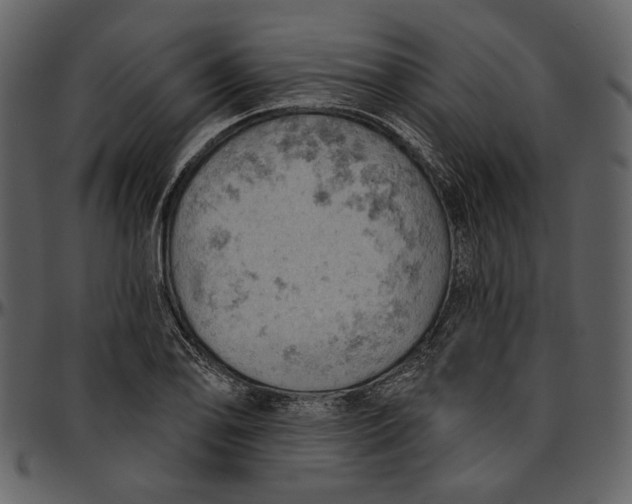 X0000096951078200802291050