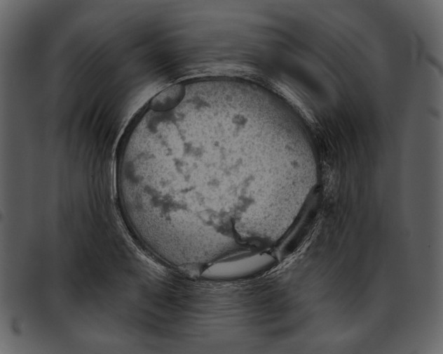 X0000096951079200802291050