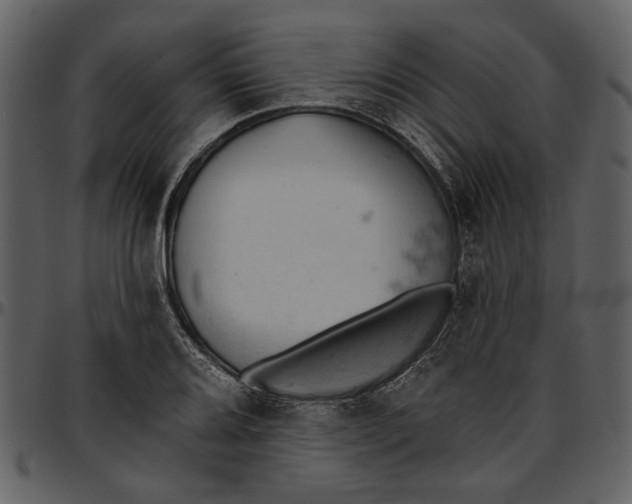 X0000096951080200802291050