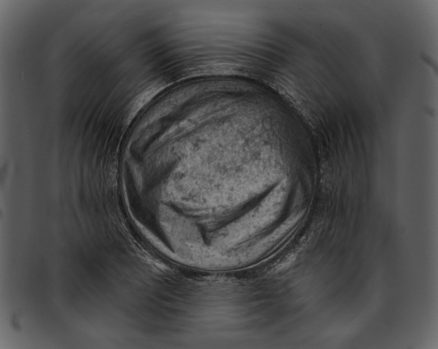 X0000096951081200802291050