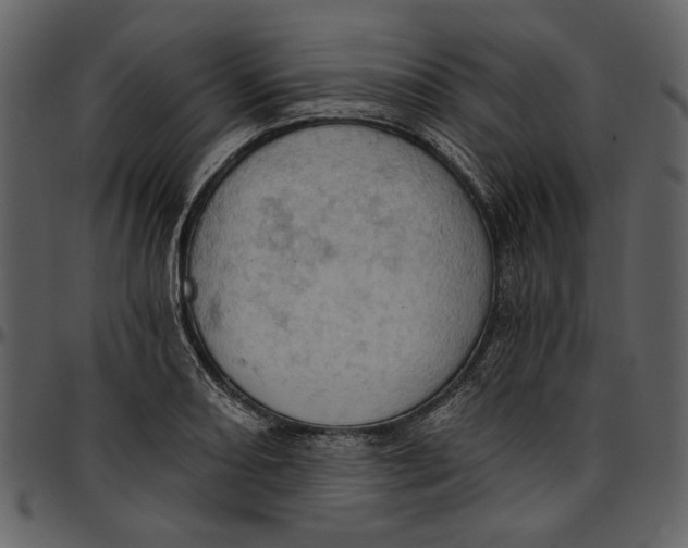 X0000096951082200802291050