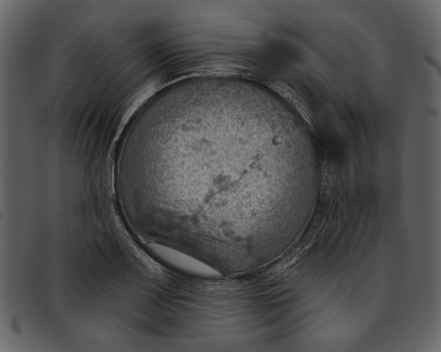 X0000096951083200802291050