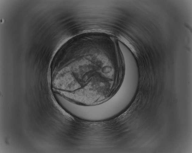 X0000096951084200802291050