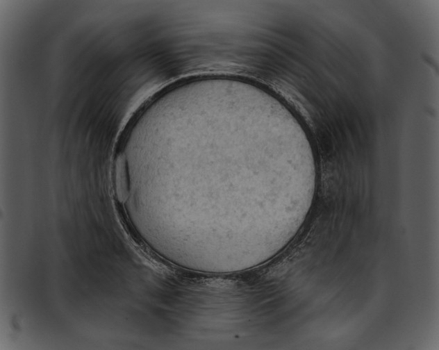 X0000096951085200802291050