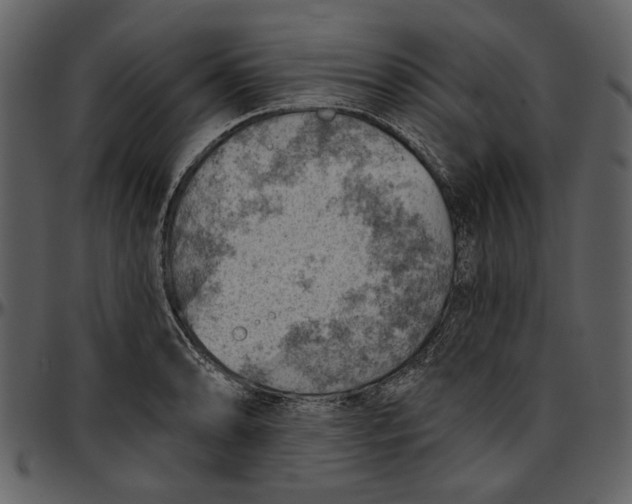 X0000096951086200802291050