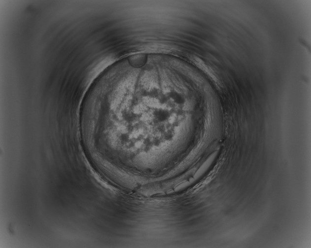 X0000096951087200802291050