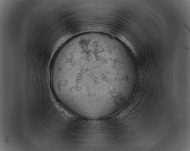 X0000096951088200802291050