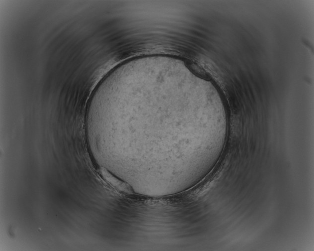 X0000096951089200802291050