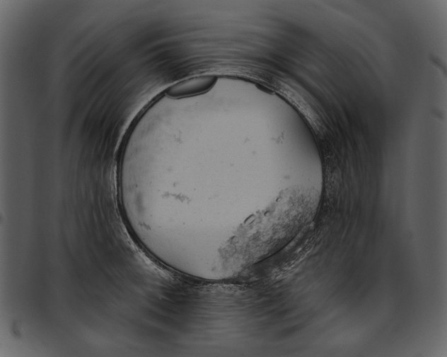 X0000096951092200802291050