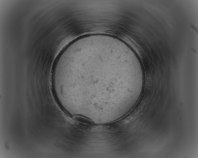 X0000096951093200802291050