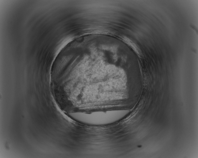 X0000096951095200802291050