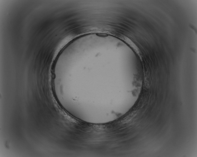 X0000096951096200802291050