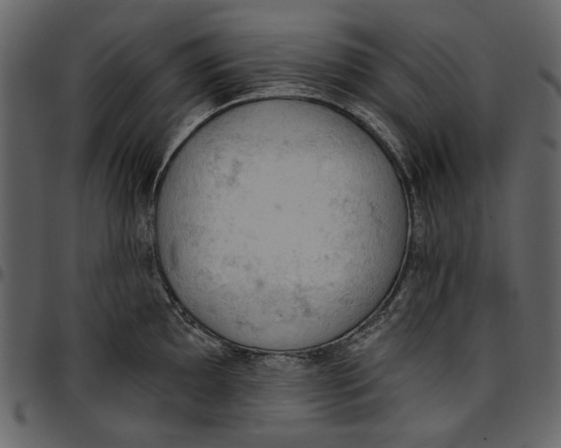 X0000096951097200802291050