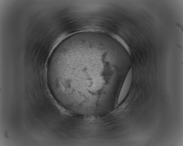 X0000096951099200802291050