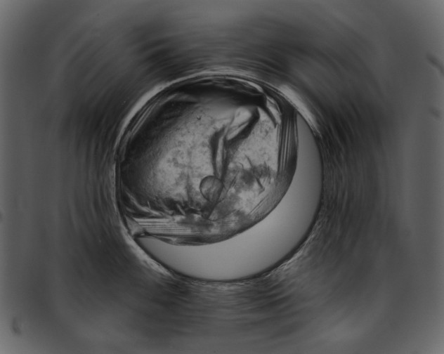 X0000096951100200802291050