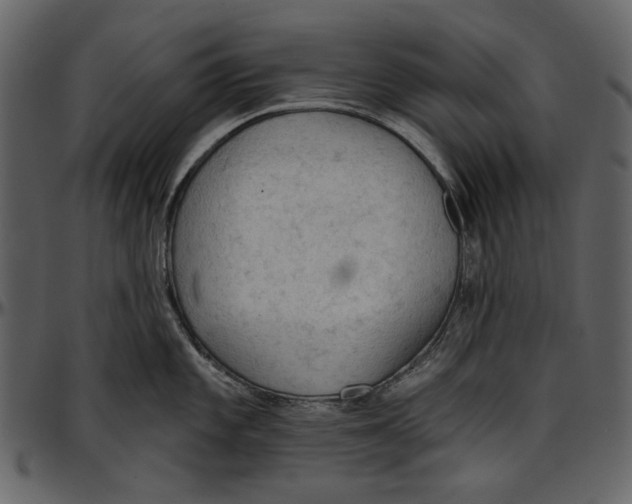 X0000096951101200802291050