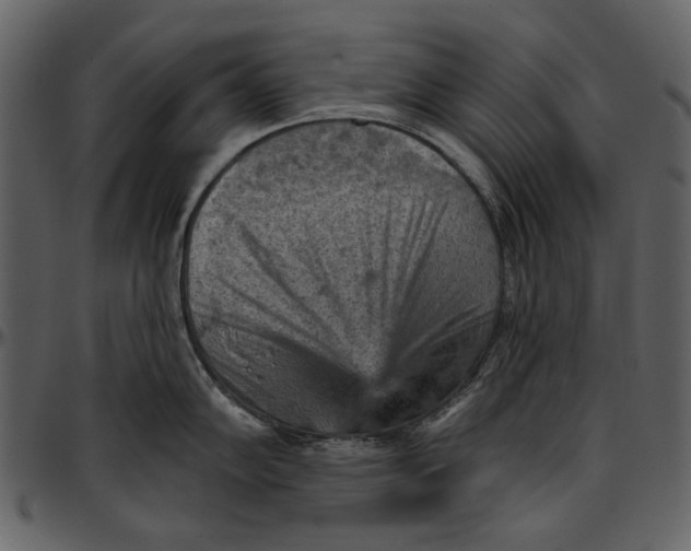 X0000096951102200802291050